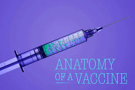 Available in aep, gif and svg. Anatomy Of A Vaccine What It Takes To Create A Safe Effective Covid Shot