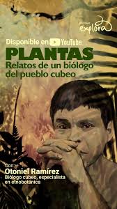 Relatos de PLANTAS SAGRADAS amazónicas, historias de la selva profunda en  la voz de un protagonista. Escucha esta conversación completa en nuestro  canal de YouTube (enlace en la BIO)., OTONIEL ...