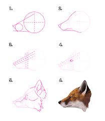 How to draw a fox easy and step by step. How To Draw Animals Foxes Laptrinhx