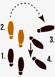 Step by step dance move. Dance Move Step Basic Twostep Dance Steps Png Transparent Png 1202x1200 Free Download On Nicepng