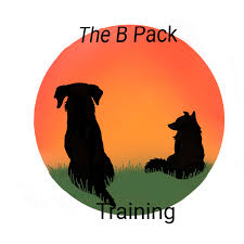 Contact our pet rehoming coordinator, or request zuchon shichon teddy bear dog rehoming services today. Moab Humane Society Home Facebook