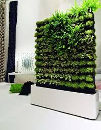Faire Un Mur Vegetal Interieur 15 Idees Mur Vegetal Interieur Jardin Interieur Mur Vegetal