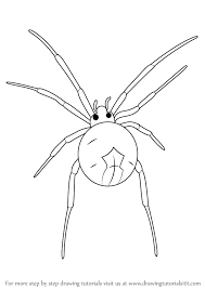 As you watch subtletv filters your playlists to match your interests. Learn How To Draw A Widow Spider Other Animals Step By Step Drawing Tutorials
