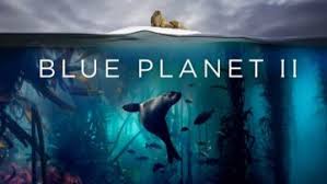 You can also find these shows in the free pbs video app for your roku, apple tv, samsung smart tv, fire tv stick, phone or tablet. Nature Documentaries Watch Documentaries