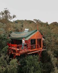 Accommodation for rustic weekend getaways offering an ideal secluded getaway. Staying At Teniqua Treetops In Knysna Wanderlust Movement