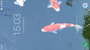 Find the best koi fish background on wallpapertag. Koi Fish Live Wallpaper Youtube