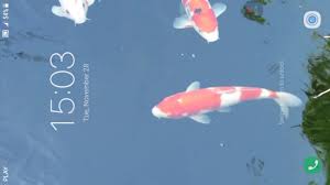 Purely uv, anjon, patriot, gc tek, atlantic Koi Fish Live Wallpaper Youtube