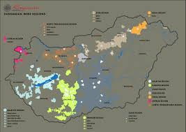 Vinárske oblasti Maďarska na víkend: Degustácie a krásne scenérie