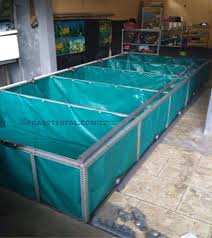 3 Hal Tentang Kolam Terpal Rangka Baja Ringan Prassterpal Kolamterpal Jualkolamterpal Kolamterpabulat Kolamterpalkaret Kolamt Kolam Kolam Ikan Hidroponik