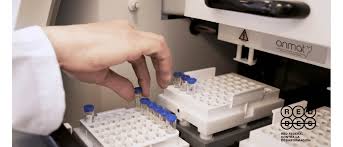 La anmat autorizó, a través de la disposición 946/2018, la venta en farmacias, bajo receta archivada, de la droga misoprostol, que se podrá adquirir para la. Que Es La Anmat Chequeado