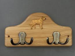 Image result for štýrský brakýř