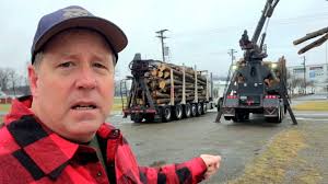 Why Am I Hoarding Logs Now?