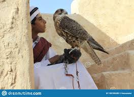 Check spelling or type a new query. Menino Novo No Vestido Tradicional Com Seu Falcao Do Animal De Estimacao Imagem Editorial Imagem De Sahara East 138189480