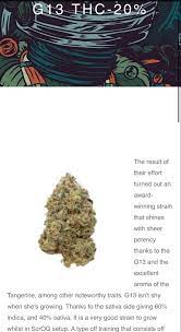 Pin Pa Indica Strains