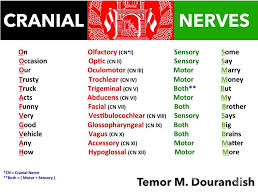Baronemnemonic Tibial Fractures Cranial Nerves Mnemonic Nursing School Studying Cranial Nerves