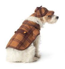 M7004 Pet Costumes Home Mccall S Patterns Pet Costumes Dog Coats Dog Costume