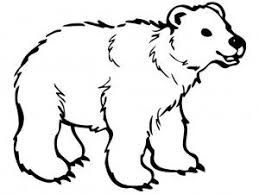 Theme Arctic Nuttin But Preschool Bear Coloring Pages Polar Bear Coloring Page Polar Bear Color
