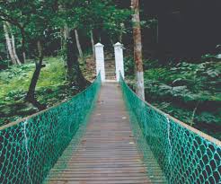 Jabatan perhutanan negeri sembilan is tasked to manage the natural resources of forest in negeri sembilan in order to achieve a sustainable development. Hutan Lipur Negeri Sembilan Jabatan Perhutanan Semenanjung Malaysia