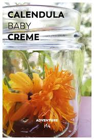 Ringelblumensalbe Fur Babys In 2020 Salbe Entzundungshemmend Baby