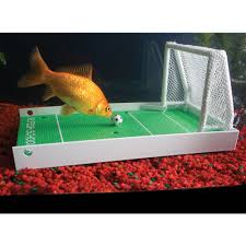 The Fish Agility Training Set Hammacher Schlemmer Pet Fish Fish Tank Training Kit