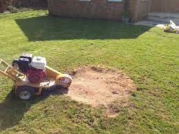 How much does it cost to grind a stump? Stump Grinding The Treefeller