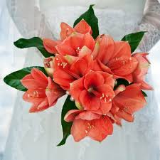 Many reasons have contributed to the improvement of faux plants, including the quality and technology of the silk or other materials used and a more dynamic mix of matte and glossy surfaces. Amaryllis Wedding Bouquet Free Bridal Bouquet Tutorials Supplies