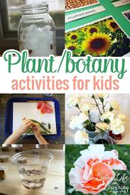 Easy play to learn activities and printables for little learners. Plant And Botany Activities For Kids