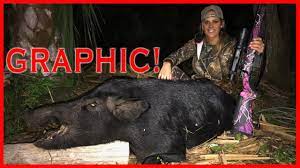 Graphic How To Butcher And Cape A Wild Bar Hog Dmfd Youtube