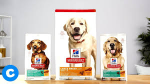 Most specialty stops will also carry it, however. Hill S Science Diet Weight Management Dog Food Chewy Youtube