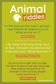 Fun for the whole family. 27 Animal Riddles For Kids That Are Great For Car Rides And Classrooms