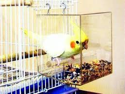 Tidy Seed No Mess Bird Feeder In 2020 Diy Bird Cage Pet Birds Parrot