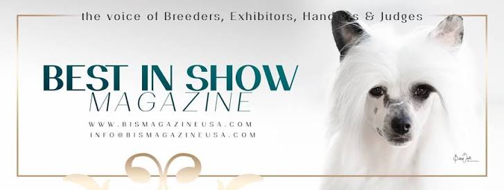 Best In Show (@BestinShowMagazine) • Facebook