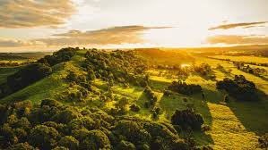 Jun 20, 2021 · the pandemic lockdown slowed tasmania's population growth, but failed to stop it growing, according to statistics prepared by university of tasmania data analyst jacqueline de vries. The Northern Rivers Region Including Byron Bay Lismore And Ballina To Go Into Lockdown
