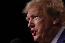 Donald Trump Used to Get Nazi Greeting at Work: Ivana