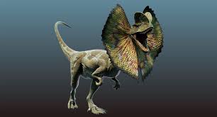 Dilophosaurus Rigged Animation Model Dilophosaurus Model Animation