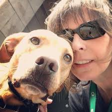 FAQ City: How To Get A Poorly-Timed Traffic Light Fixed