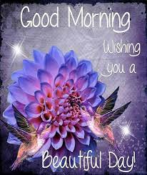 Good Morning Wishing You A Beautiful Day I Wish I Knew What You Were Trying To Show Me In Beautiful Day Quotes Good Morning Quotes Latest Good Morning Images