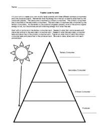 The speed at which energy is transferred from one trophic level to another is called ecological efficiency. Trophic Level Pyramid Worksheets Teaching Resources Tpt