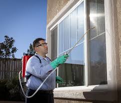 A fiberglass rod with a small plastic round at the end. Pest Control Exterminators Tell Their Secrets At Womansday Com