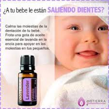 Erika Ureña Fallas (erikaurena21)