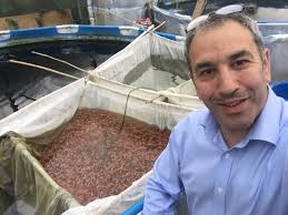 Weekend koi farmer' : new objectives set