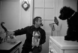 Georges Brassens En Novembre 1961 Brassens Chanteur Chat