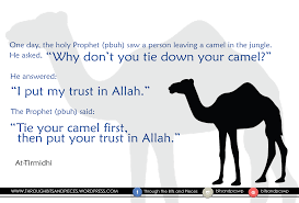 That makes him a god to me. Do Your Part And Then Rely Upon Allah