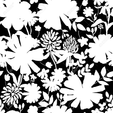 Set of plants and leaves silhouettes. Black And White Floral Seamless Pattern Silhouette Of Flowers Background Royalty Free Cliparts Vectors And Stock Illustration Image 50174495