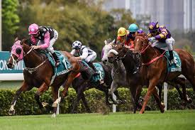 Live news, investigations, opinion, photos and video by the journalists of the new york times from more than 150 countries around the world. The Gambler Who Cracked The Horse Racing Code In Hong Kong Asia News Top Stories The Straits Times