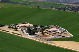 Image result for Atalaya alata