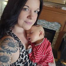 Who can recommend a local bug exterminator for spider, box elder bug, ant,  and termite prevention?