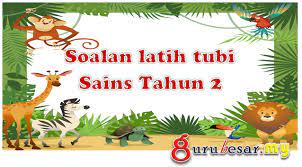 We did not find results for: Soalan Latih Tubi Sains Tahun 2 Gurubesar My