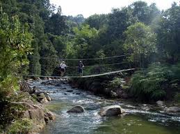 Kuala kubu bharu is a charming little town at the foothills of bukit fraser in hulu selangor. Sungai Chiling Fish Sanctuary Kuala Kubu Bharu Selangor Gokelah