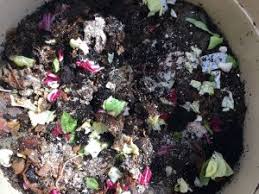 Les Bons Ingredients Pour Un Compost De Qualite